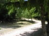 Green Paths all around the structure
