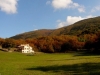 residence-appartamenti-piscina-verde