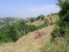 oasi assisi posizione collinare