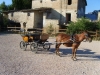 Carrozza tirata da cavalli