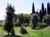Ampio giardino curato