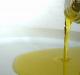 Consulenze a Foligno Olio di qualità