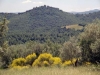 agriturismo immerso nel verde in collina a Perugia