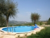 Vista dalla piscina B&B vicino Pavia