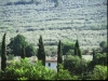 Panoramic view from the structure