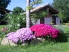 fiori giardino primavera