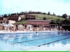 Olympionic swimming pool