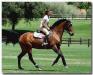 Campi equitazione in Umbria