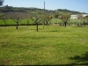 bed and breakfast con giardino e giochi per bambin