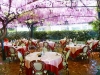 Ristorante con tavoli all'aperto, peschiera garda