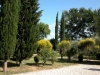 Detail of the garden