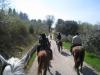 Passeggiate nel verde a cavallo Foligno