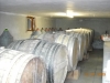 Produzione e Vendita Vino in Montefalco