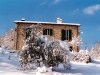 Vacanze sulla neve 