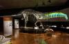 mostra-dinosauri-gubbio-umbria
