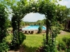 Green arches in the garden