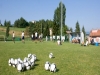 Ritiri sportivi pre-campionato