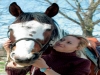 Cavalli equitazione per famiglie e gruppi Umbria