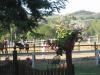 Vacanze in Umbria a contatto con la natura