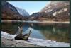 Il Prezzo Piú Basso al Lago di Ledro
