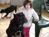 Cane corso e bambini