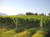 Tenuta Broccatelli Cantine Montefalco