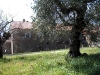 Parco esterno de Casale