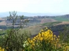 Panoramic view