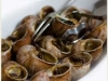 Menù di Lumache in occasione della sagra