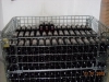 Rosso di Montefalco & Trebbiano Spoletino