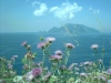 Capri dalla penisola Sorrentina