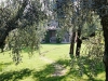 Toscana