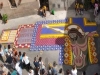 Dettagli infiorata di Spello