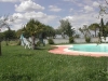 agriturismo biologico con piscina in Umbria