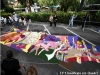Infiorata Spello Photo 3