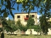 Villa contornata da piante di olivo a Siena
