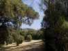 spazio verde giardino