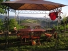 Agriturismo in B&B per famiglie, Piemonte