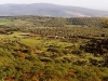 Vista panoramica