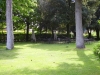 angolo relax nel parco