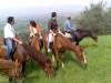 Passeggiate a cavallo colline di Foligno