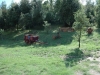 passeggiate a piedi e cavallo