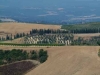 Green hills