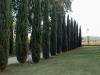 Viale di ingresso del casale