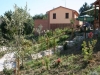 agriturismo-biologico-fattoria-marche