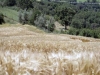 agriturismo in campagna vicino perugia