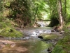 Agriturismo con equitazione, Bracciano