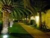 Viale delle palme Camping fronte mare