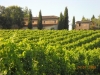 Cantine Aperte Montefalco Umbria