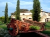giardino verde